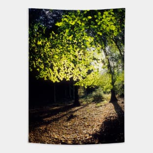 Spring Trees Tapestry