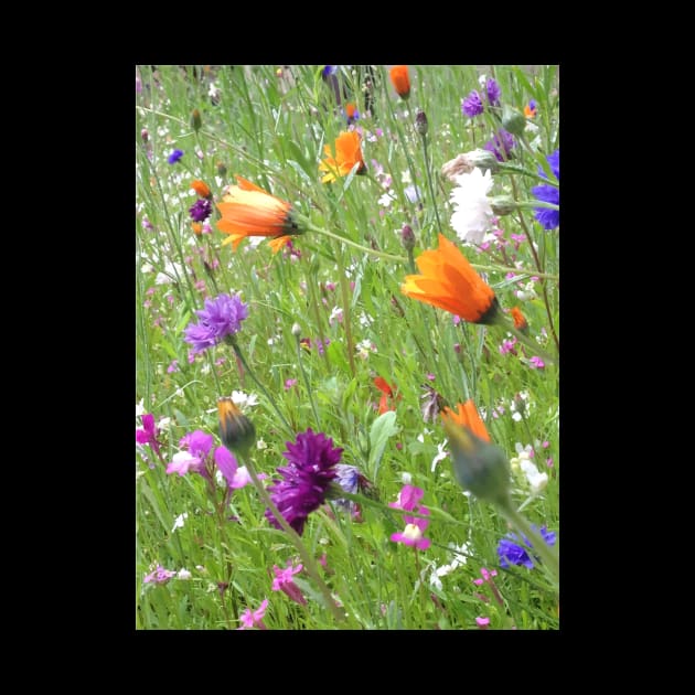 Wild Flowers - Vectorized Photographic Image by Rhubarb Myrtle