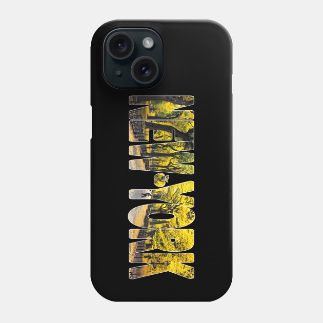 NEW YORK - New York USA The Mall Fall Phone Case by TouristMerch