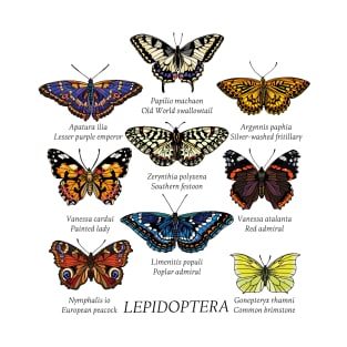 Butterfly species 2. T-Shirt