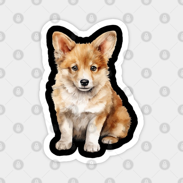 Puppy Icelandic Sheepdog Magnet by DavidBriotArt