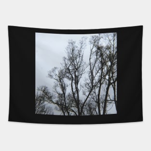 Winter Chills Tapestry