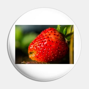 Strawberry hdr Pin