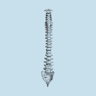 Spine anatomy T-Shirt