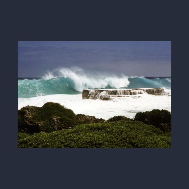 Nuku'alofa blowholes, Kingdom of Tonga by poupoune