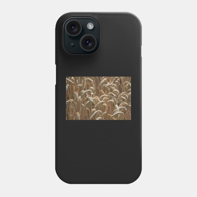 Wheat (landscape) Phone Case by jomaot