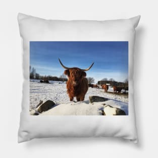 Scottish Highland Cattle Cow 2282 Pillow