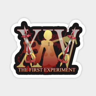 The First Experiment Magnet