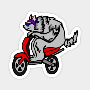 Cool Scooter wolf Magnet