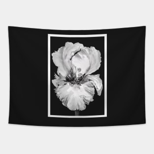 White Iris in Black and White Watercolor Tapestry