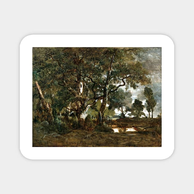 Théodore Rousseau Forest of Fontainebleau, Cluster of Tall Trees Overlooking the Plain of Clair-Bois at the Edge of Bas-Bréau Magnet by pdpress