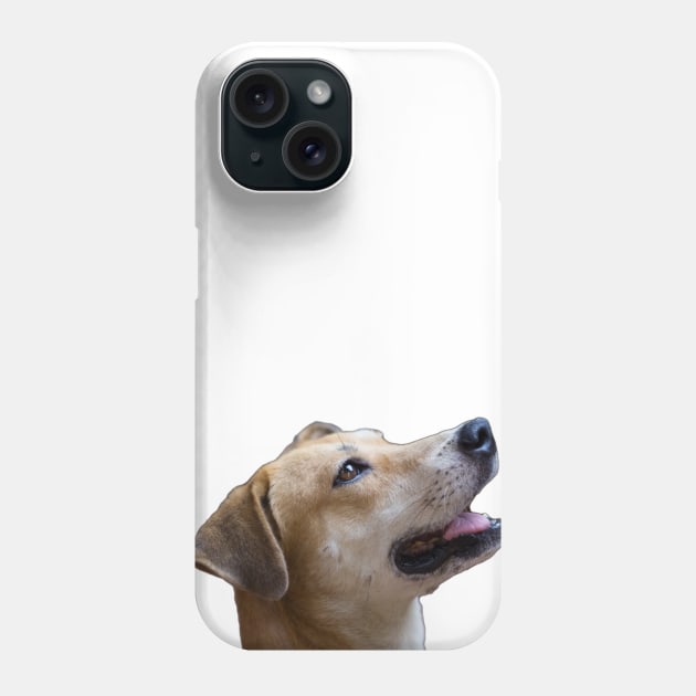 i love dog Phone Case by rickylabellevie