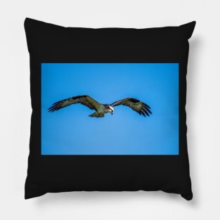 River Hawk Pillow