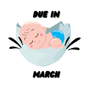 Due in March Baby Gift T-Shirt