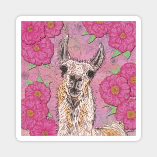 Perfectly Pink Llama Magnet