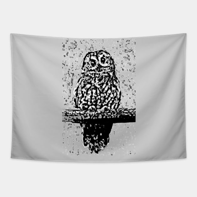 Toot Sweet In Black & White - Image Of An Owl On A Perch Tapestry by sleepingdogprod