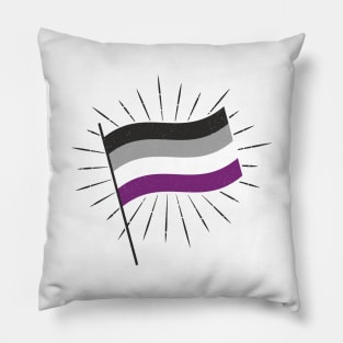 Retro Ace Pride Flag Pillow