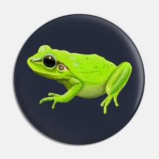 Mediterranean Tree Frog :: Reptiles and Amphibians Pin