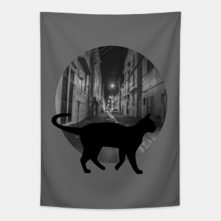 Street cat Tapestry