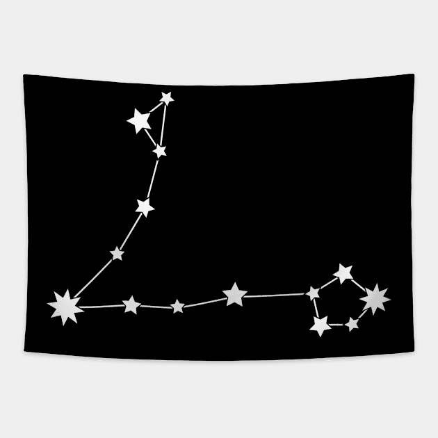 Pisces Star Sign Tapestry by FluxionHub