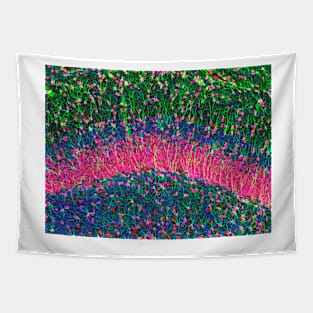 Hippocampus brain tissue (P360/0475) Tapestry