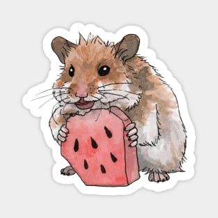 Golden hamster eating a slice of watermelon Magnet