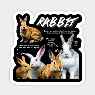 Rabbit Fun Facts Magnet