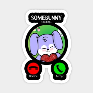 Somebunny's Calling (Love) Magnet