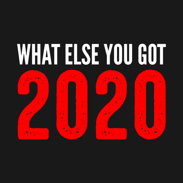 What Else You Got 2020 by PatelUmad