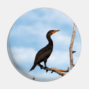 Double-crested Cormorant Perched On a Tree Branch Pin