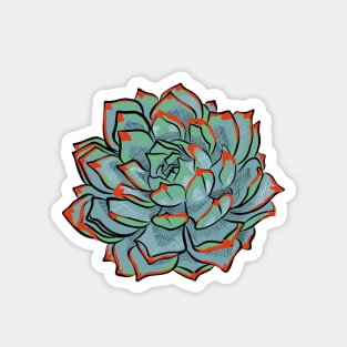 Botanical Nature Inspired Succulent Illustration Magnet