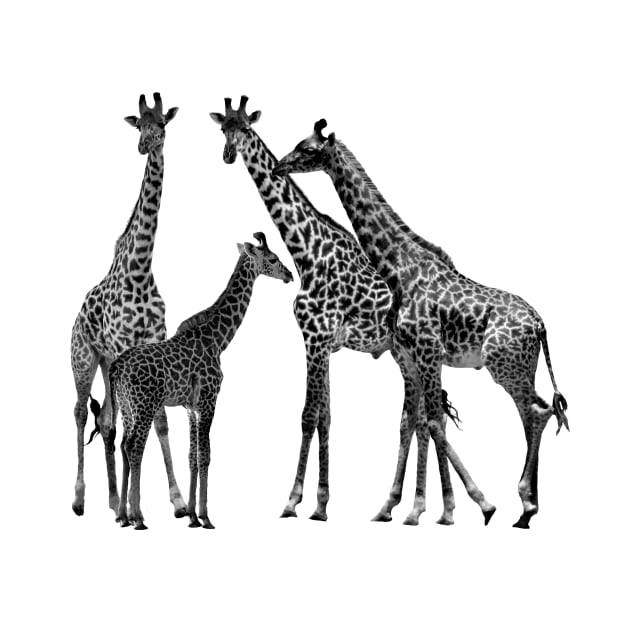 Giraffe - Family on Safari in Kenya / Africa by T-SHIRTS UND MEHR