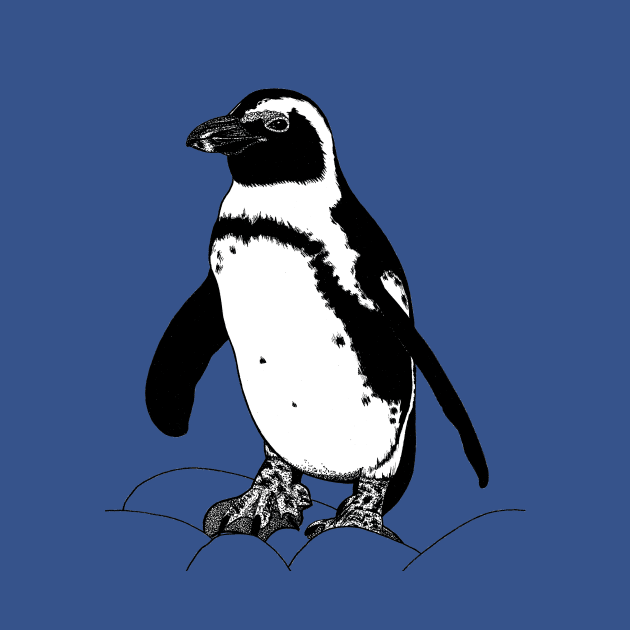 African penguin illustration by lorendowding
