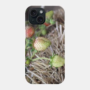 Ripening Strawberries Photograph Phone Case