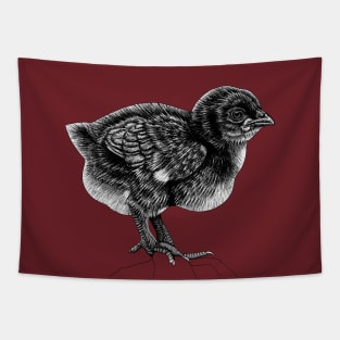 Baby chick Tapestry