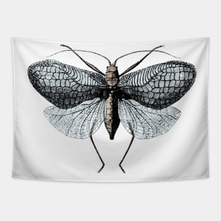 Flying Insect - Zoological Drawing Tapestry