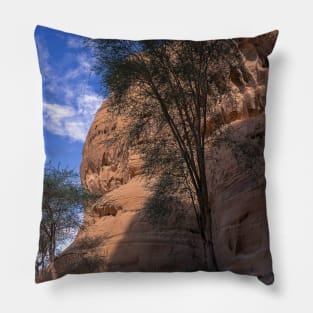 Madain Saleh Pillow