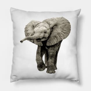 Cute Baby Elephant Picture Pillow