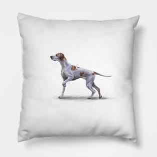 The Pointer Pillow