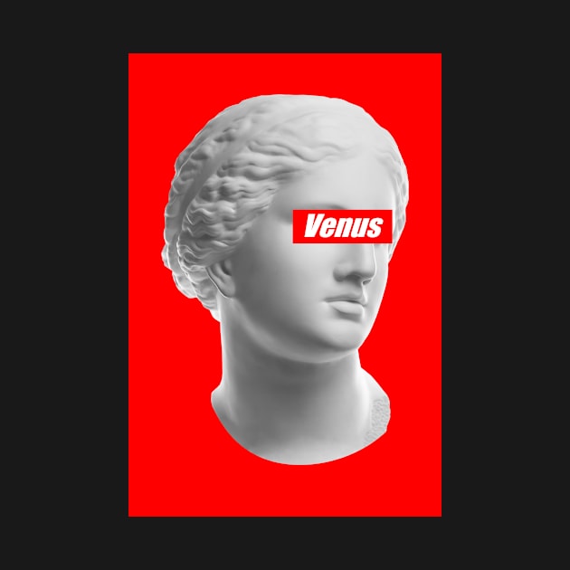 Venus Vaporwave GRLPWR Fem Party Techno Protest by Maggini Art