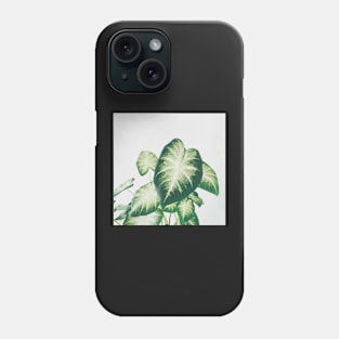 Cluster of Leaves II Phone Case