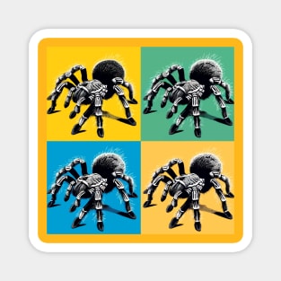 Pop Costa Rican Zebra Tarantula - Cool Spider Magnet