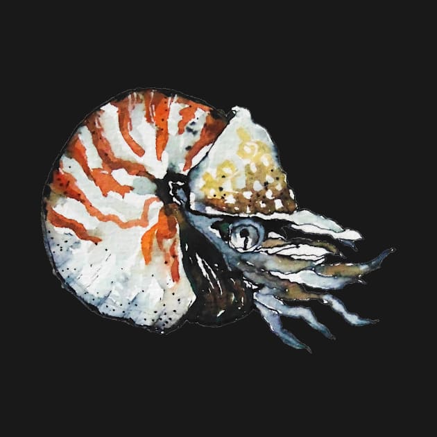 Nautilus mollusca by Kuhtina