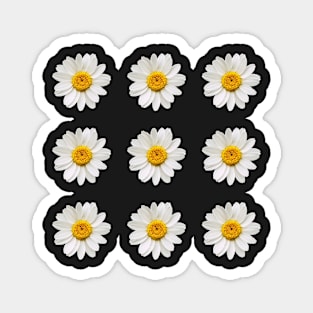 Chamomile/Daisy stickers Magnet