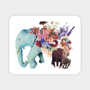 Elephants, remind me of home Magnet