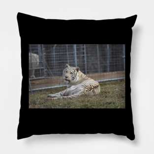 White Tiger Pillow