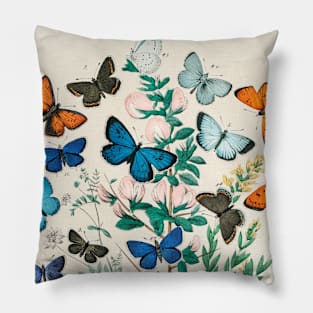 Butterfly Vintage Science Illustration Pillow