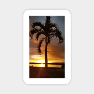 Hawaiian tropical palm tree Magnet