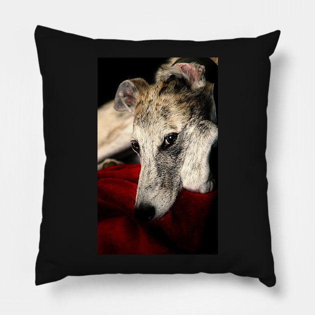 Bed Head Fred Pillow by Ladymoose