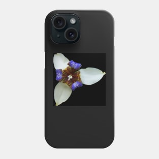 Orchid, Ciudad Colon, Costa Rica Phone Case